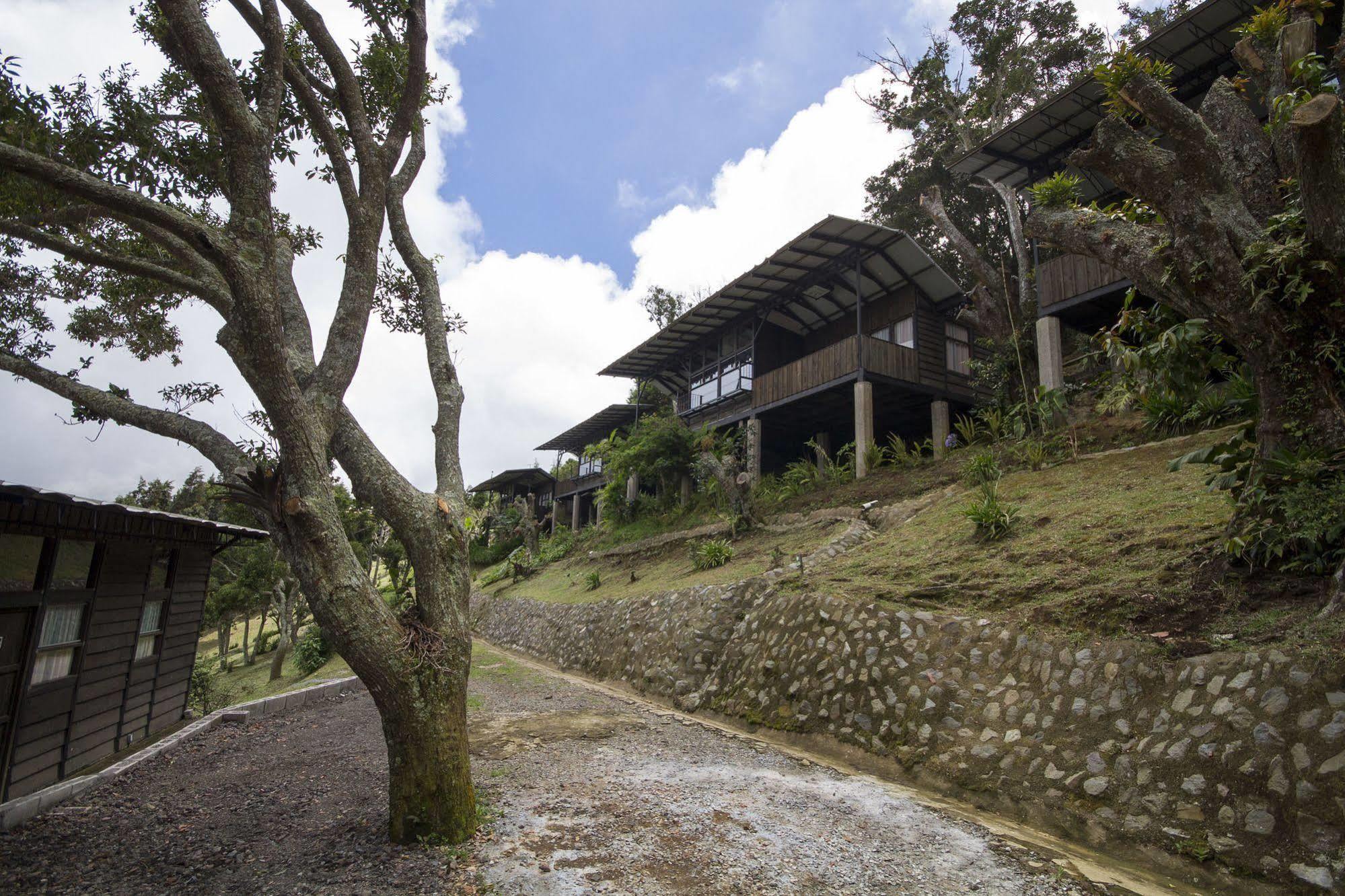 Hotel Alto Palomo Bajos del Toro 外观 照片